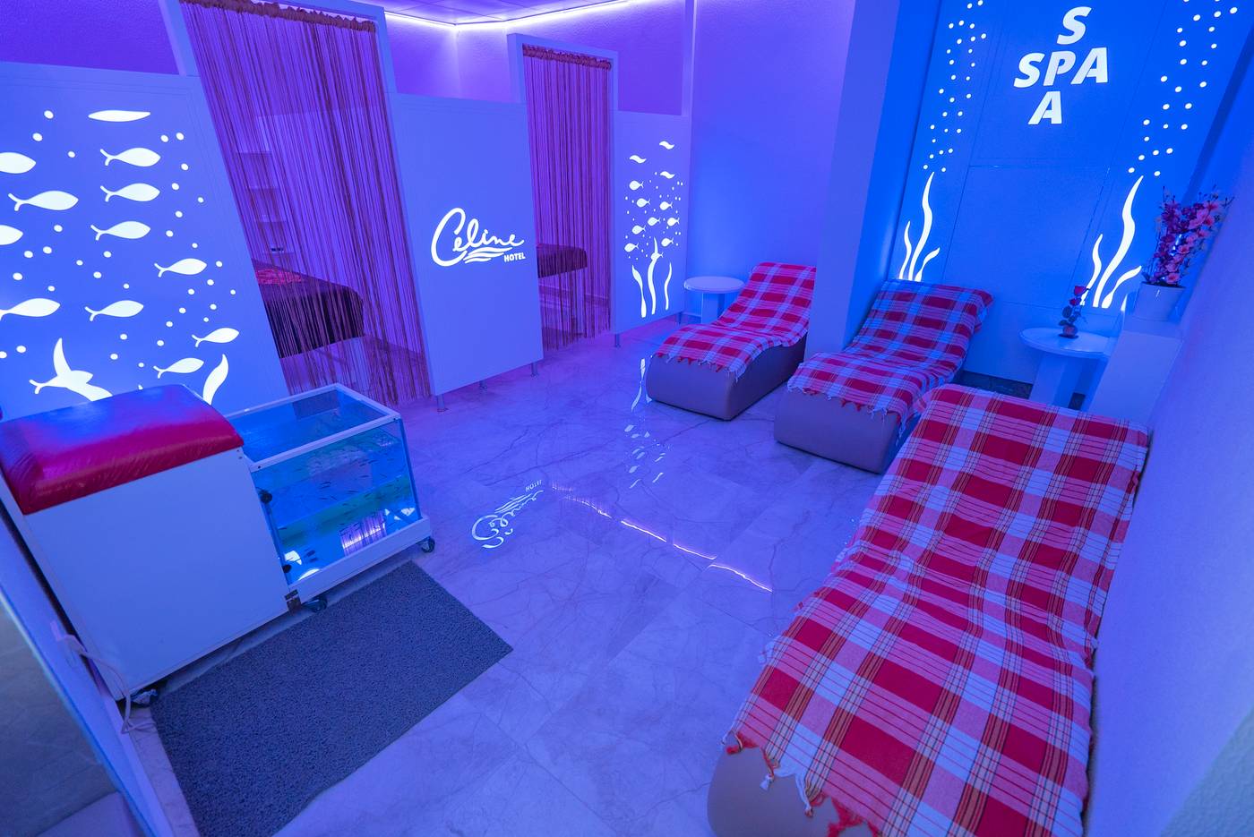 Kleopatra-Celine-Sports-and-Entertainment-26