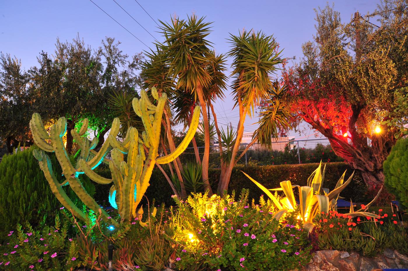 Argiro-Village-General-view-34