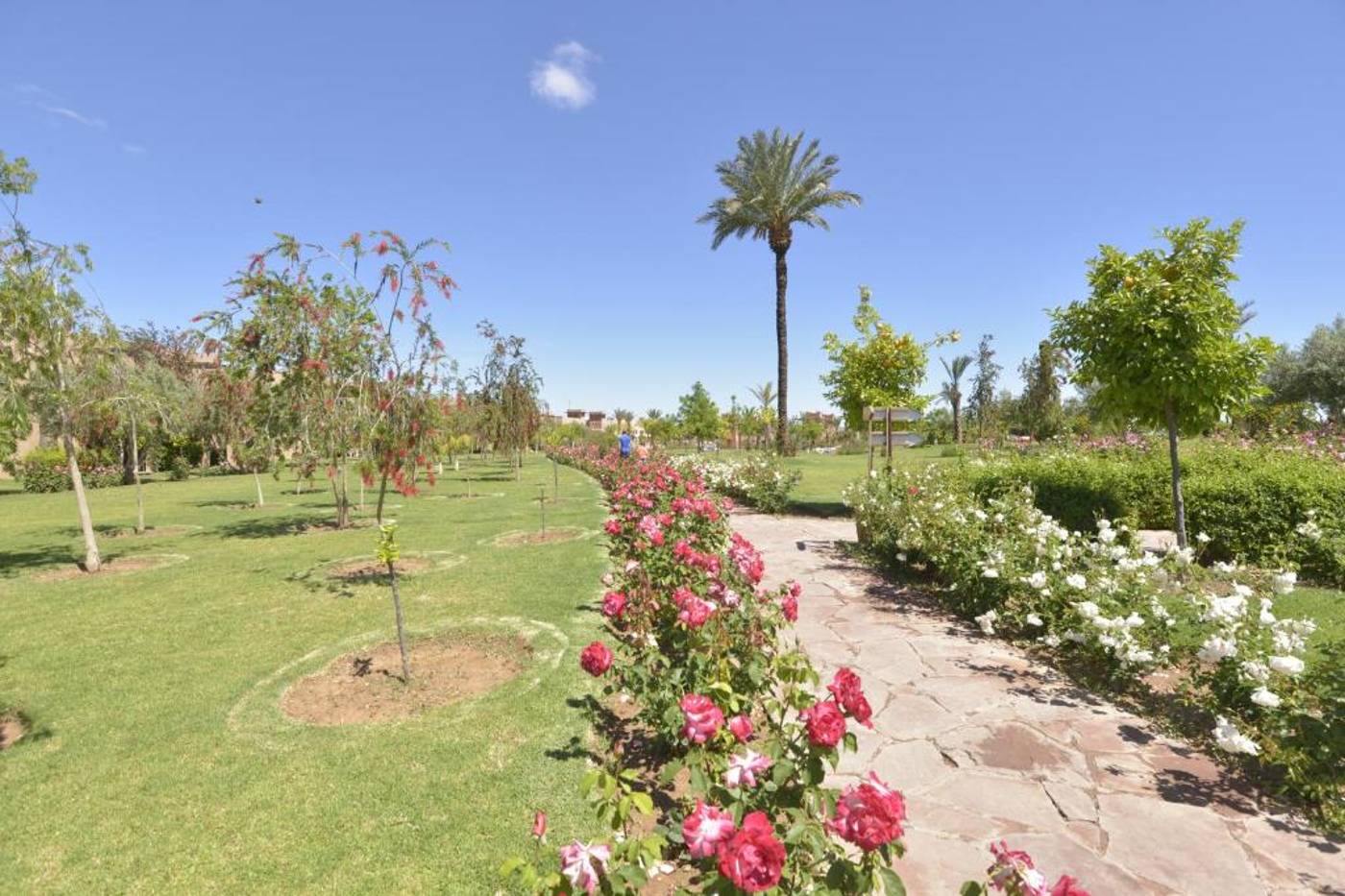 Club Dar Atlas Marrakech