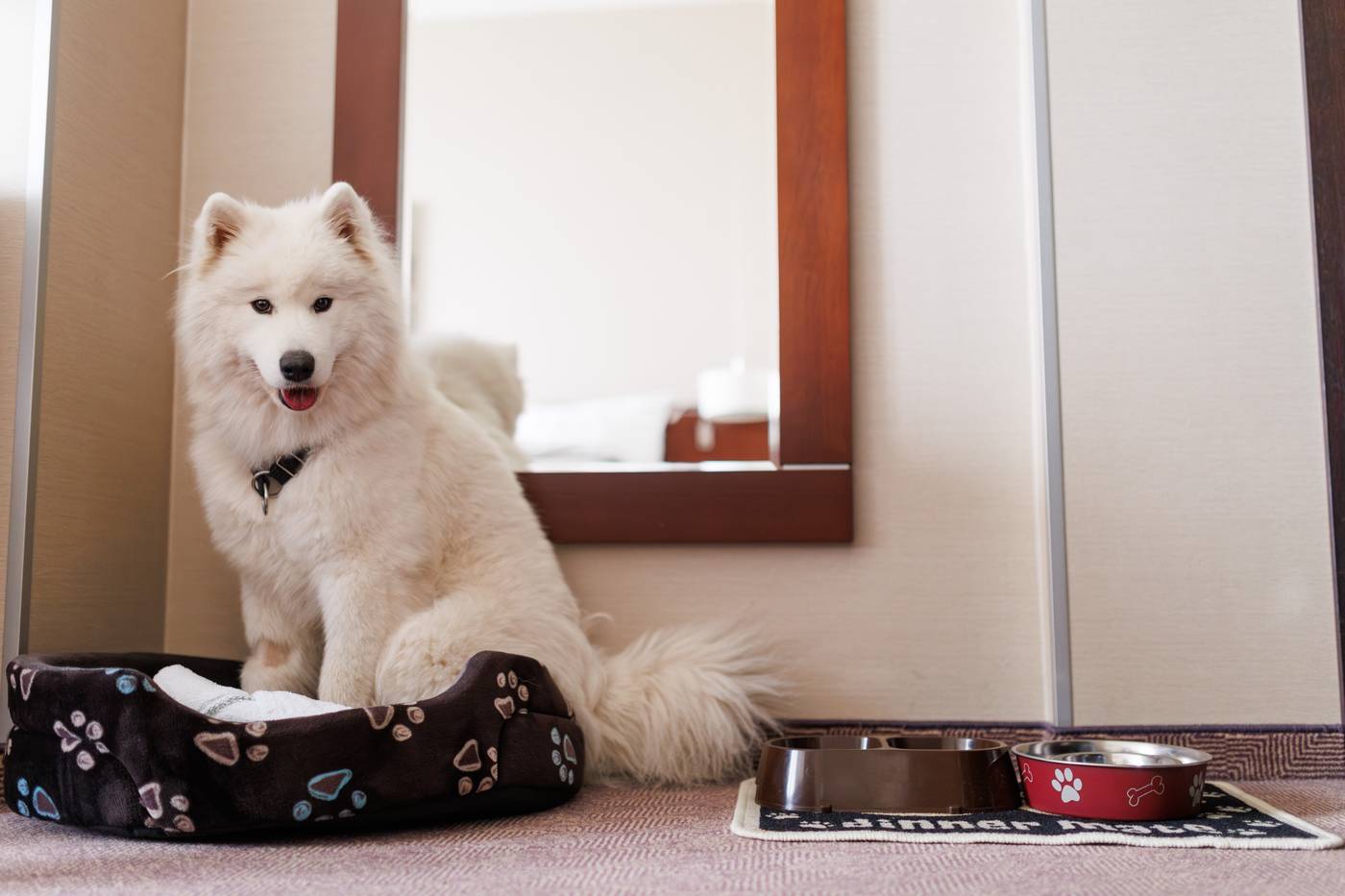 Hotel-Kossak-Room-48