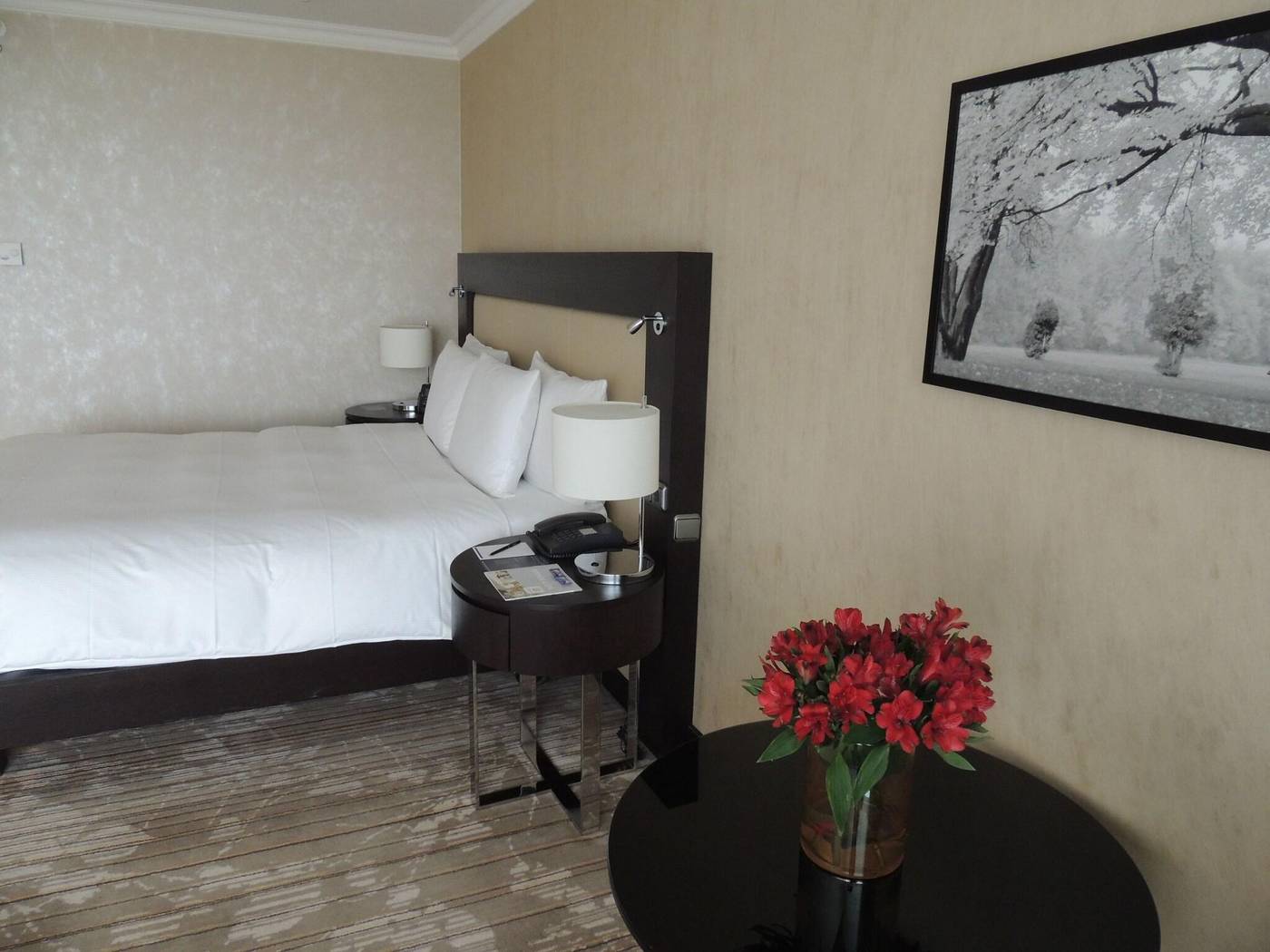 Hilton-Munich-Park-Room-50