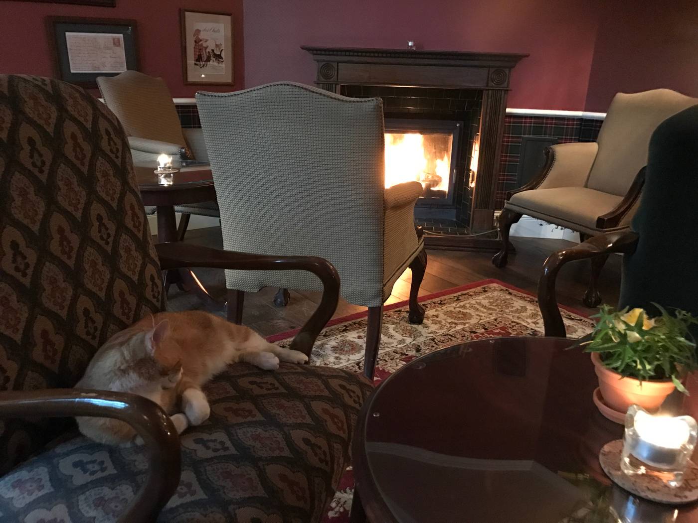 Dwor-Sierakow-Bar-11