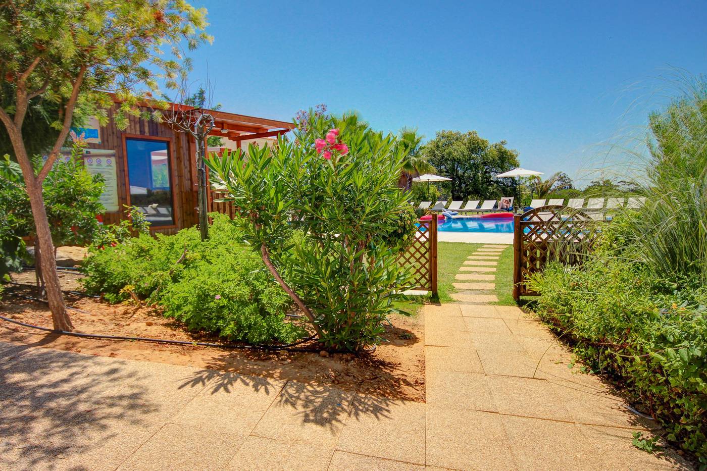 Pinheiros-da-Balaia-Pool-14