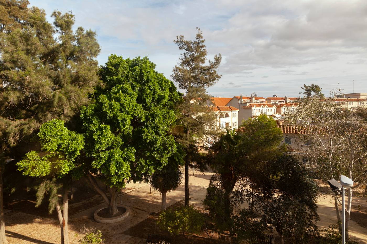 Macia-Do----ana-Room-15