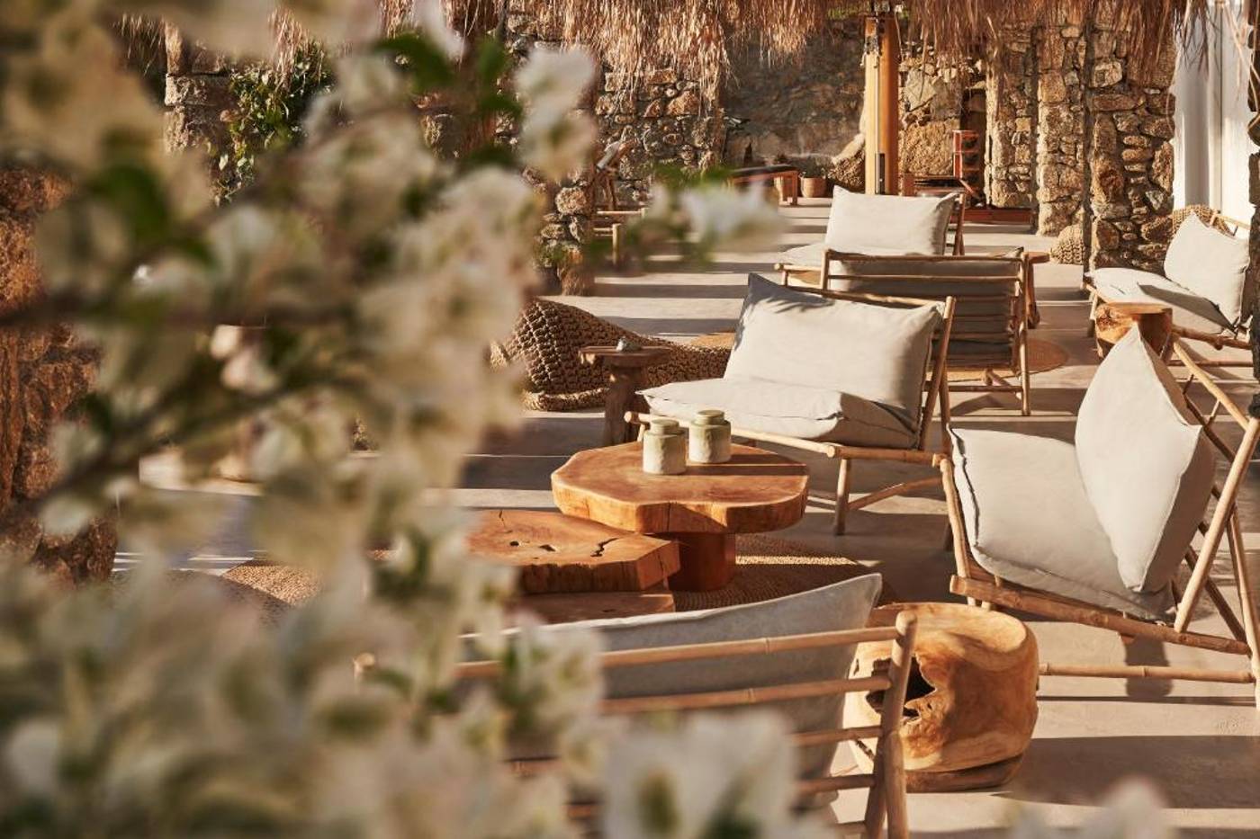 The-Wild-By-Interni-General-view-22