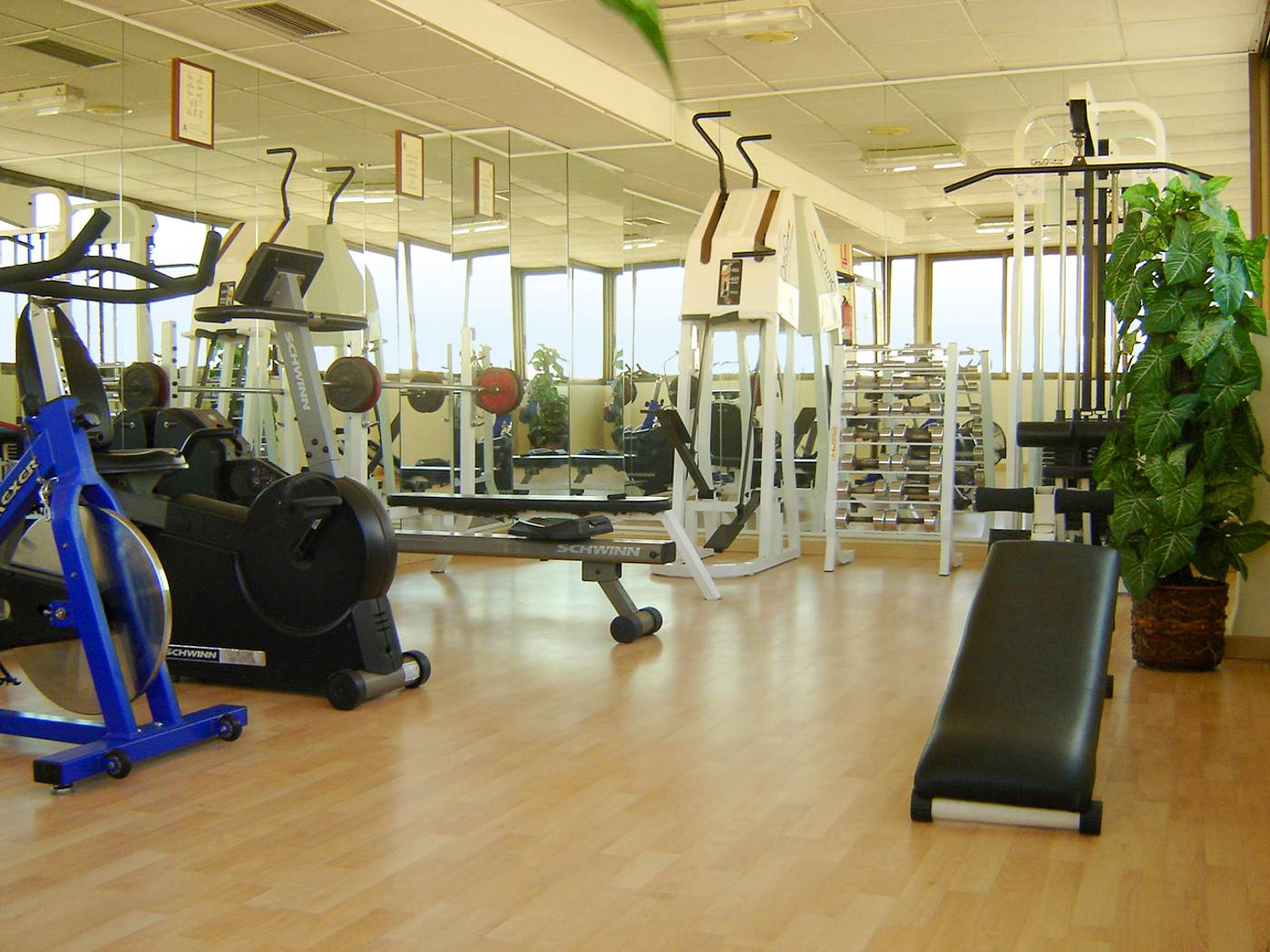 Avenida-Sports-and-Entertainment-30