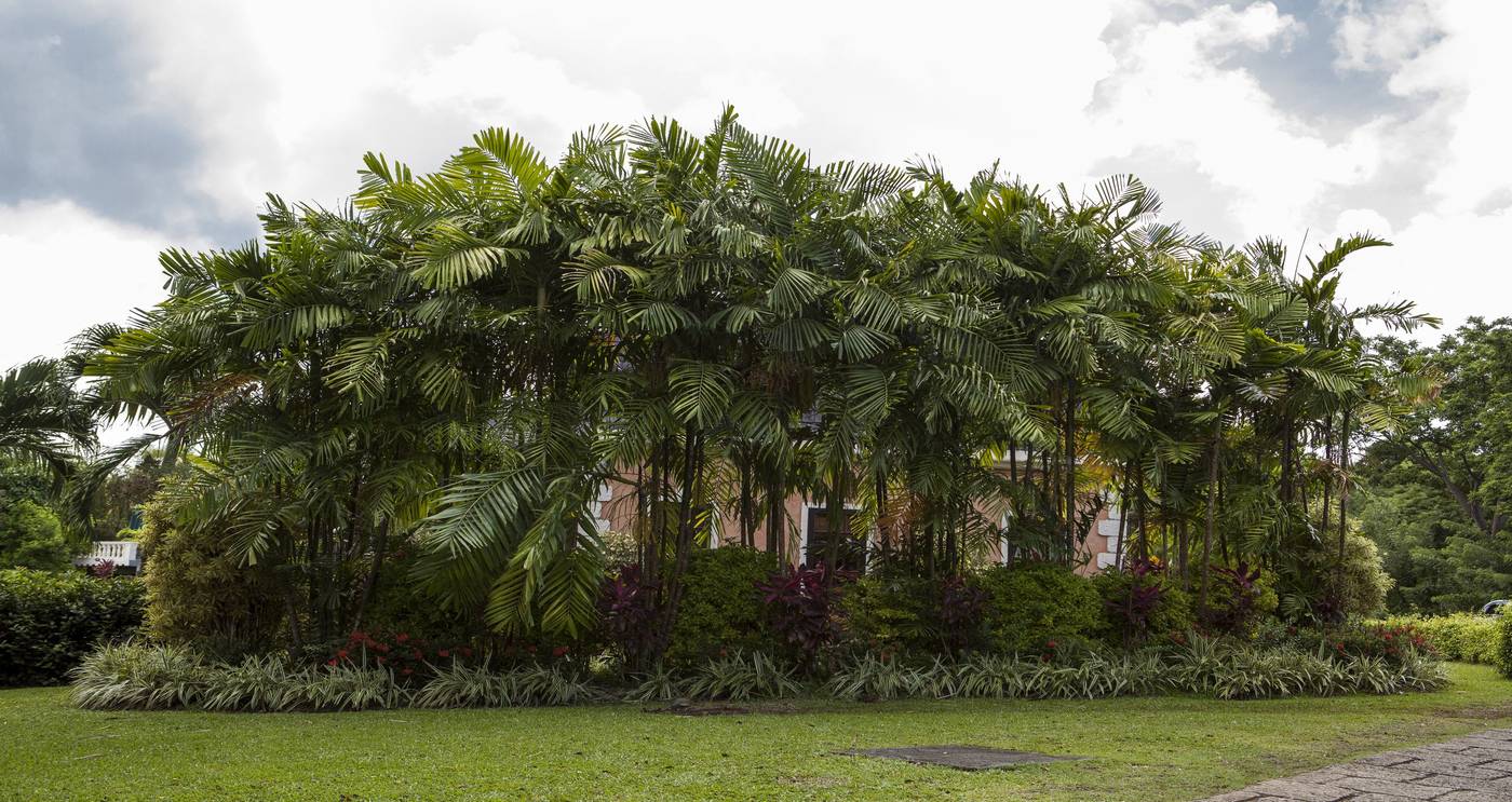 The-Villas-At-Stonehaven-Room-29