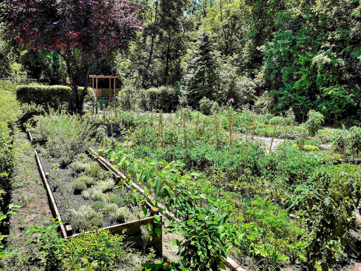 ibis-Budapest-Citysouth-General-view-70