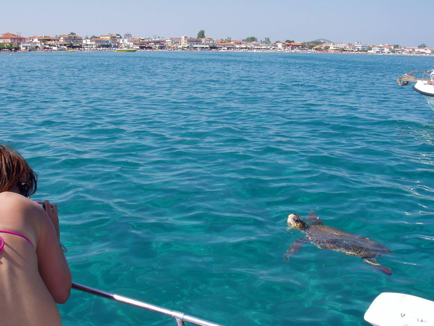 Paradise-Apartments-And-Studios-Room-62