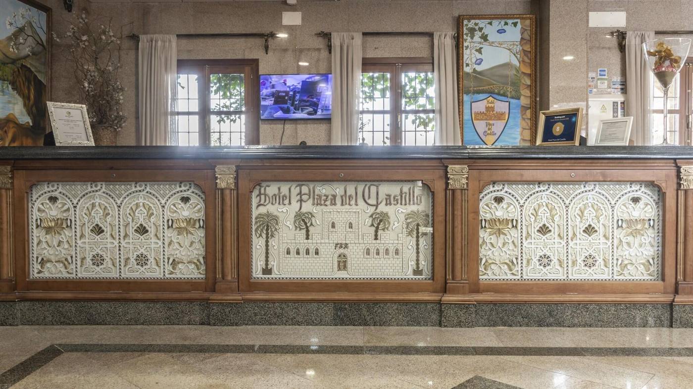Hotel Plaza del Castillo-Spain-MALAGA-Lobby-10