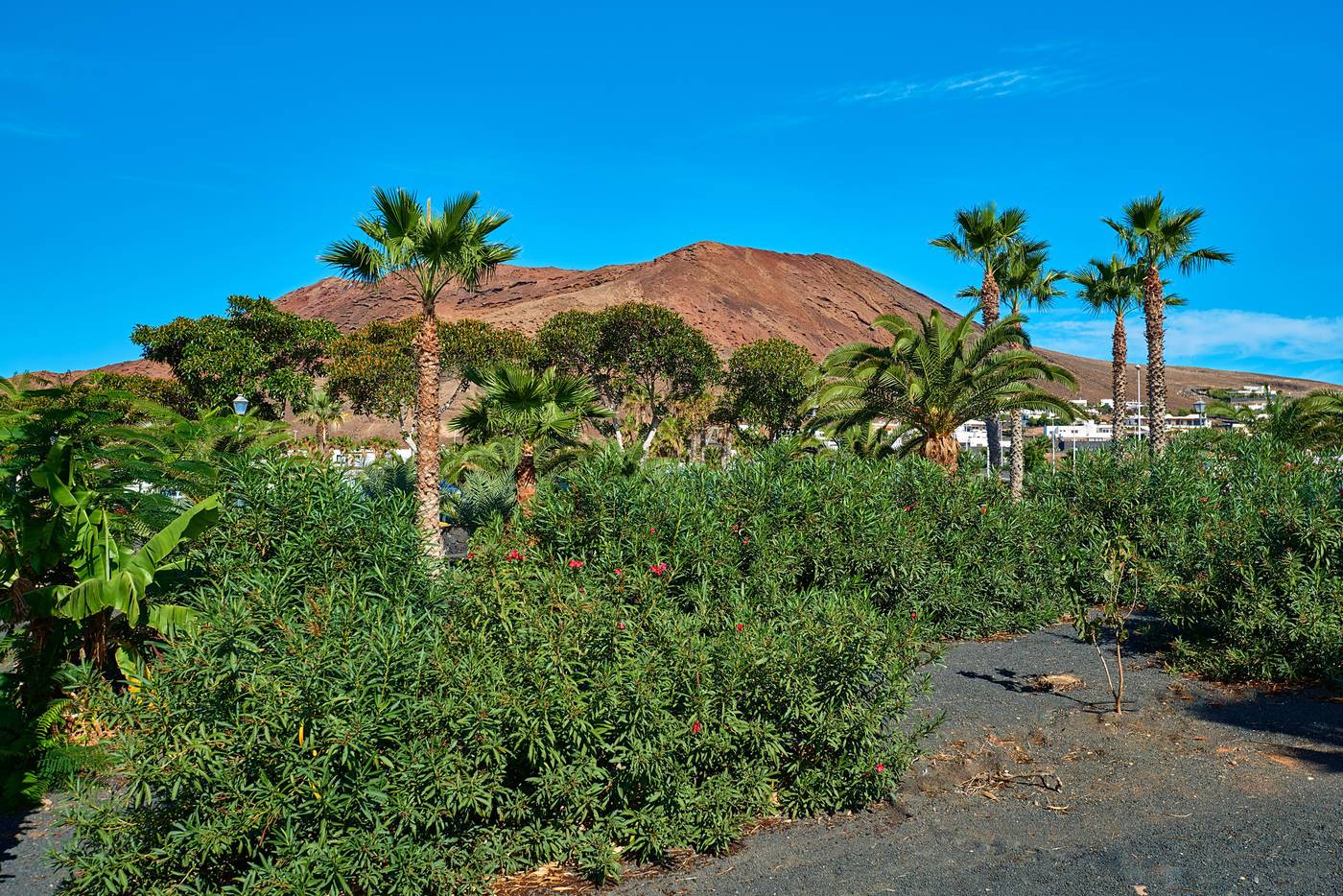 Hipotels-Natura-Palace-General-view-14