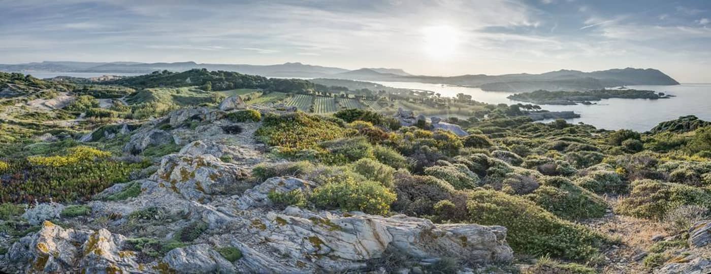 Helios-France-TOULON-General view-8