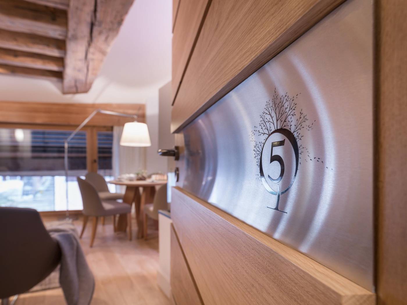 Les Loges Annecy Vieille Ville-France-ANNECY-General view-2