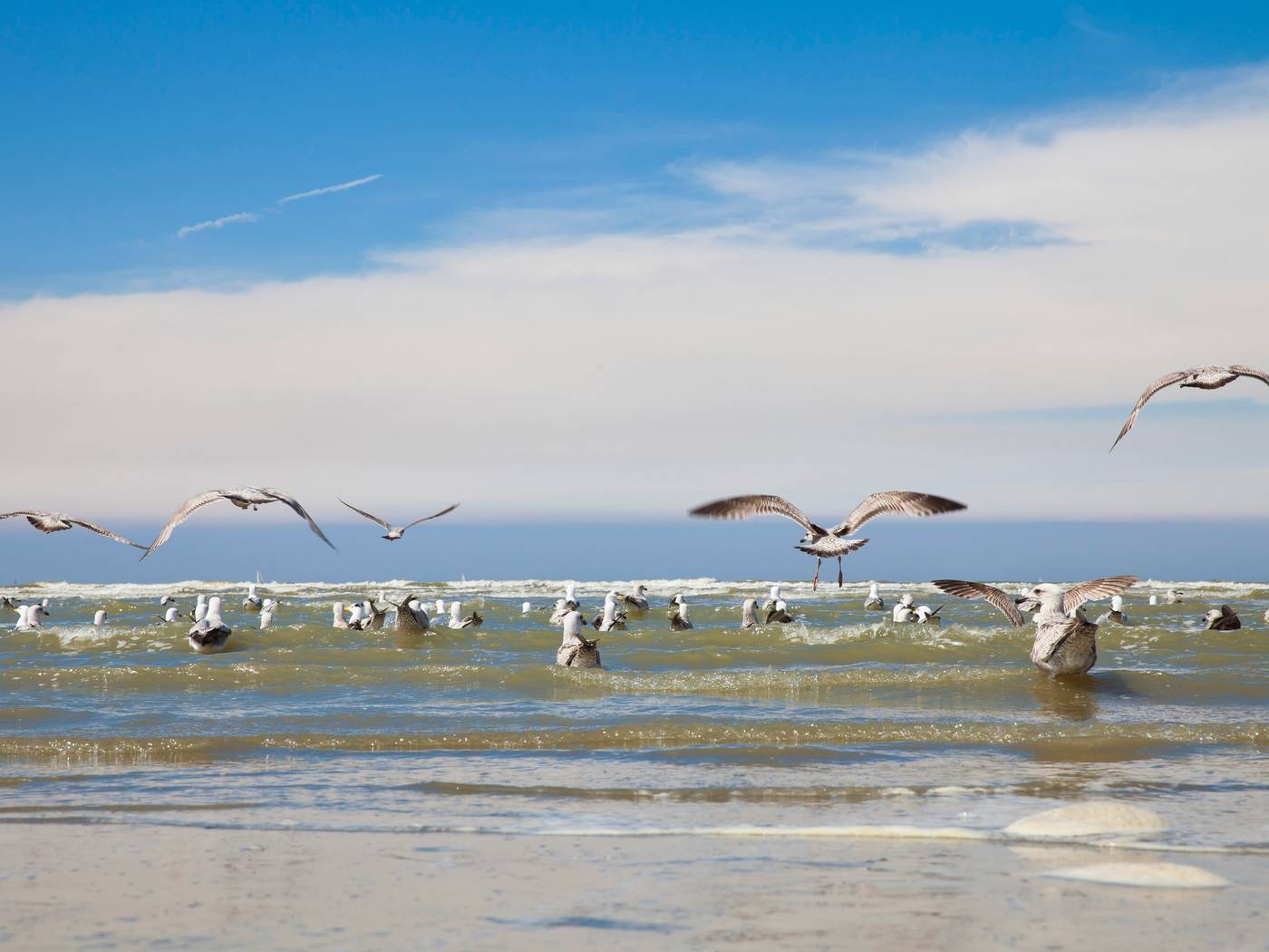 Hotel Mercure Blankenberge Station-Belgium-BLANKENBERGE-General view-8