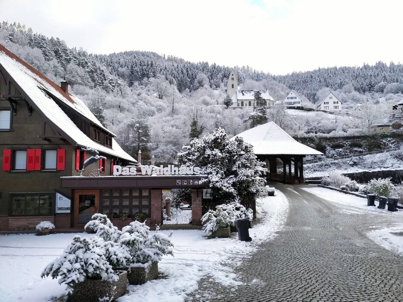 Das Waldhaus-Germany-FORBACH-General view-6