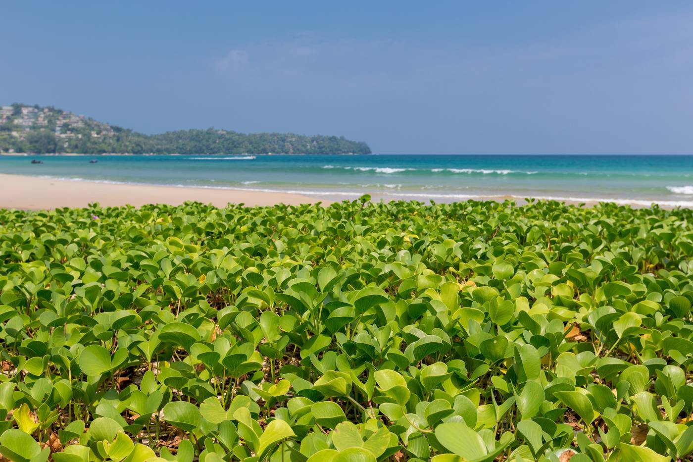 Sunwing-Bangtao-Beach-Beach-71