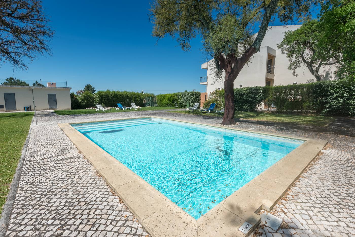 Amazonia-Palmela-Pool-9