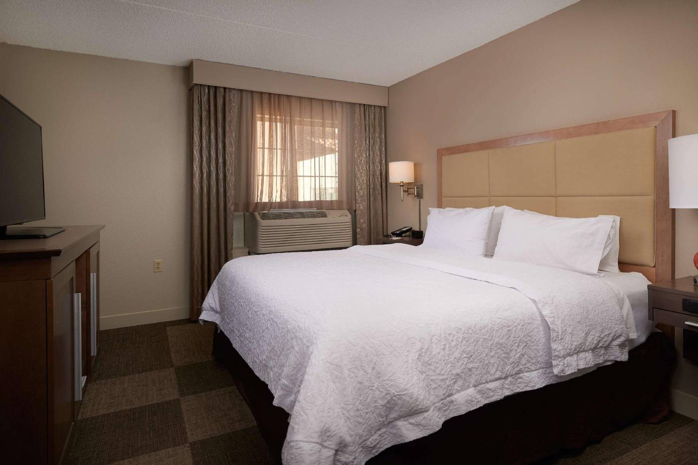 Hampton Inn & Suites Phoenix/Scottsdale-United States-SCOTTSDALE-General view-5