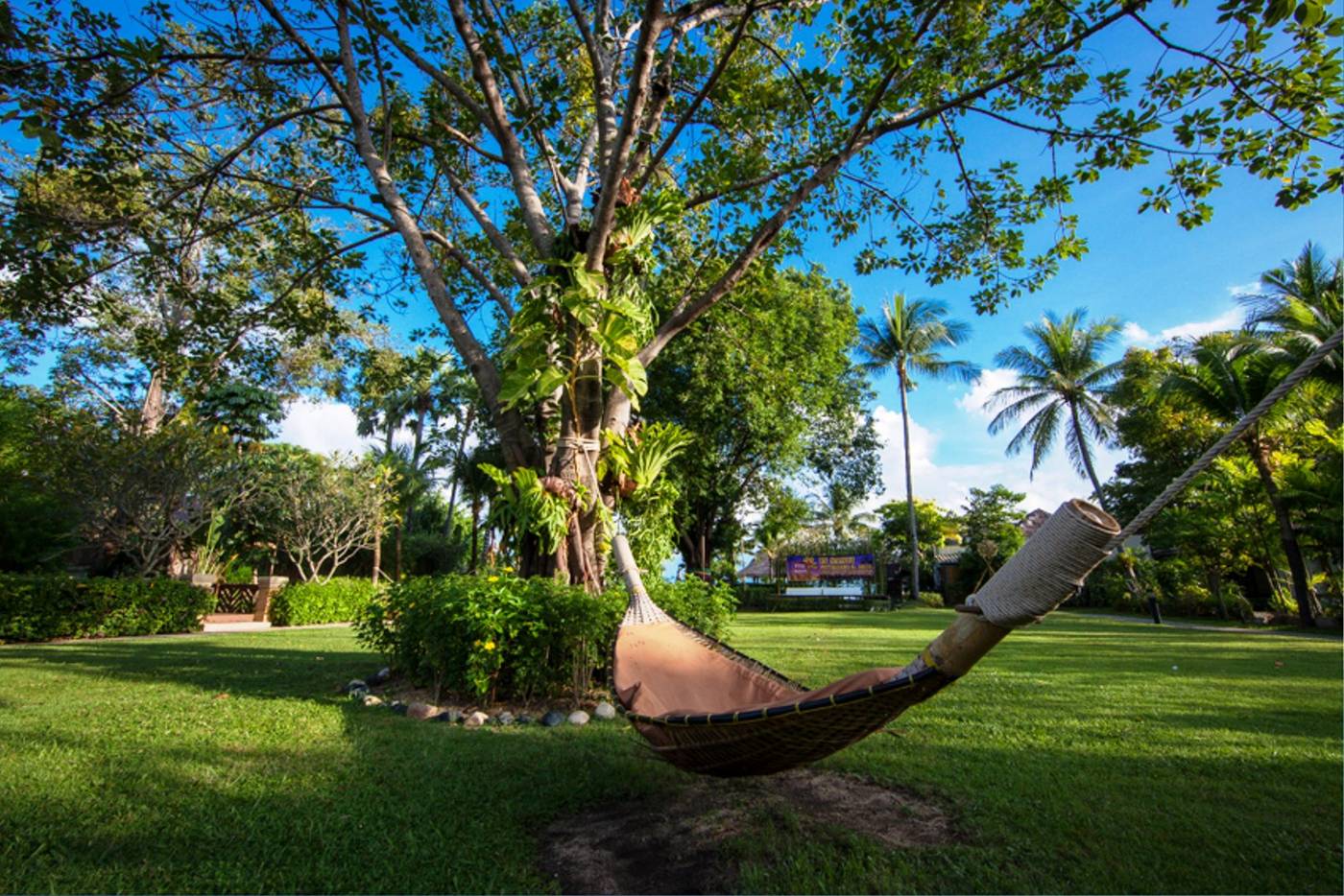 Bandara-Resort---Spa-Terrace-20