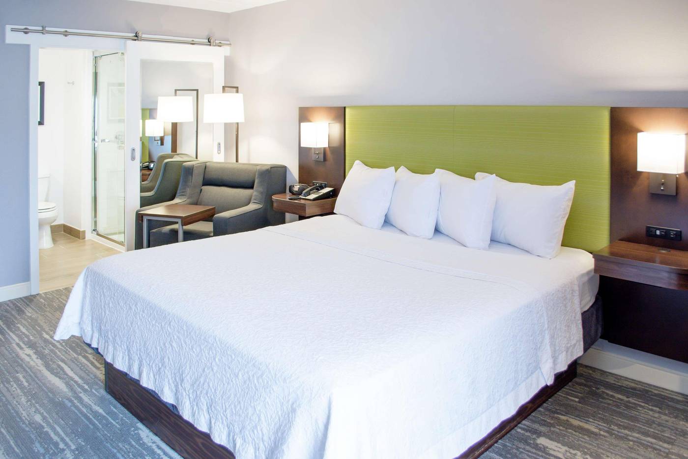 Hampton Inn Houston I-10W Energy Corridor-United States-HOUSTON-Room-8