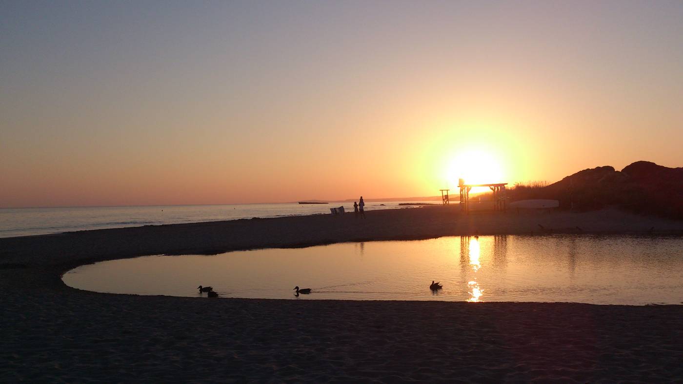 Son-Bou-Playa-Gold-Beach-49