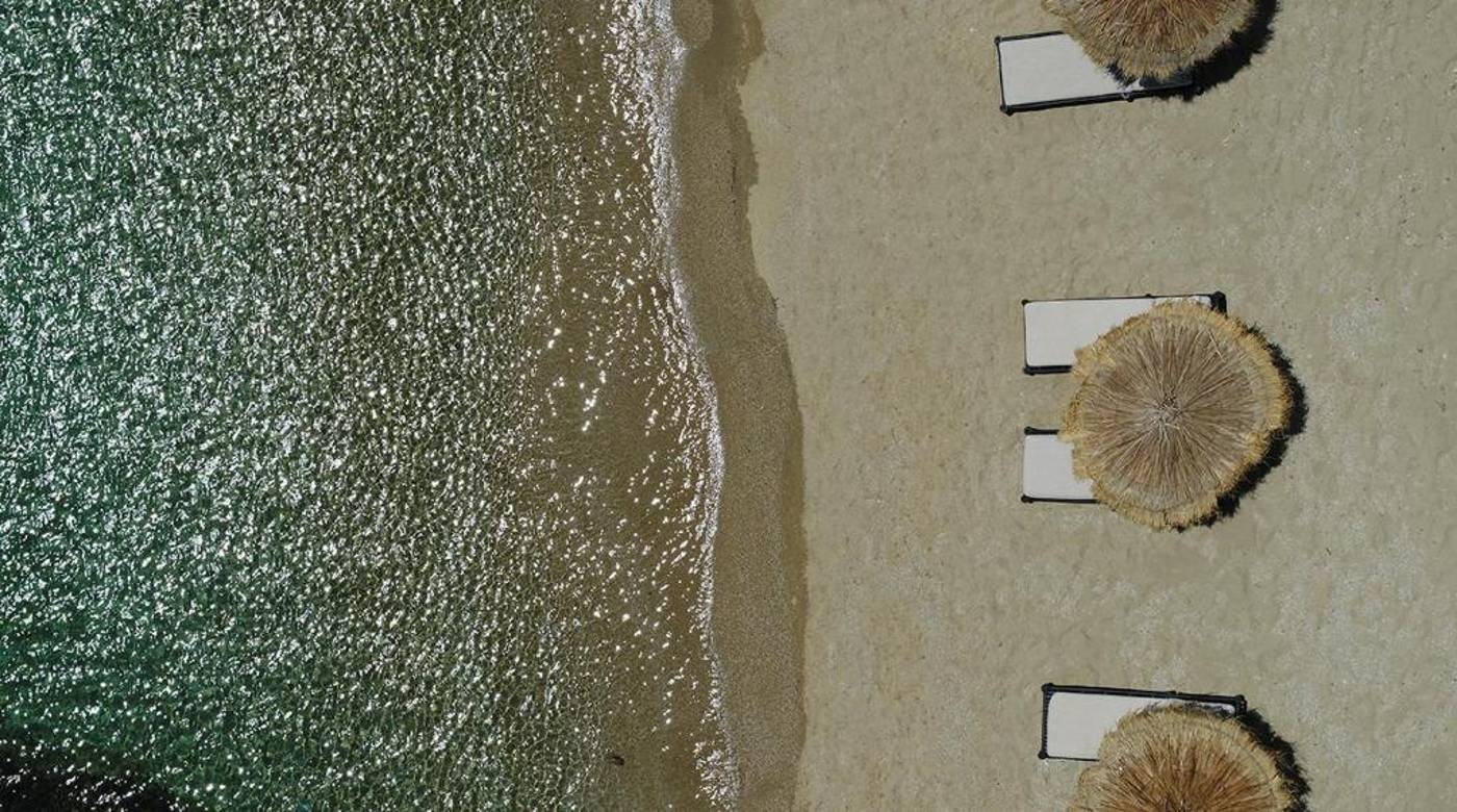 The-Wild-By-Interni-General-view-23