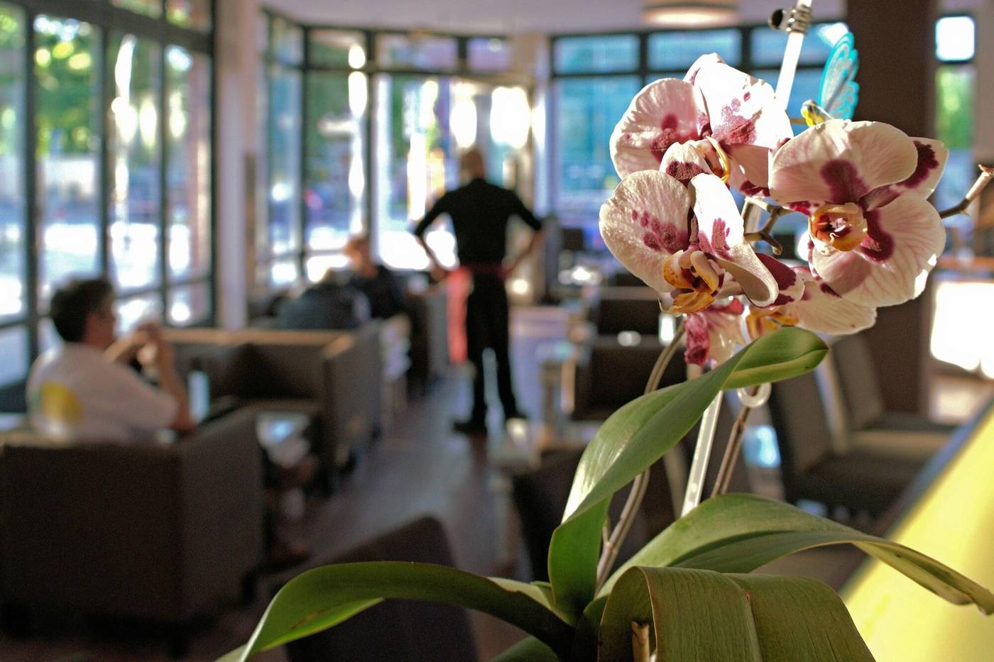 H24 Hoteltow-Germany-TELTOW-Lobby-3