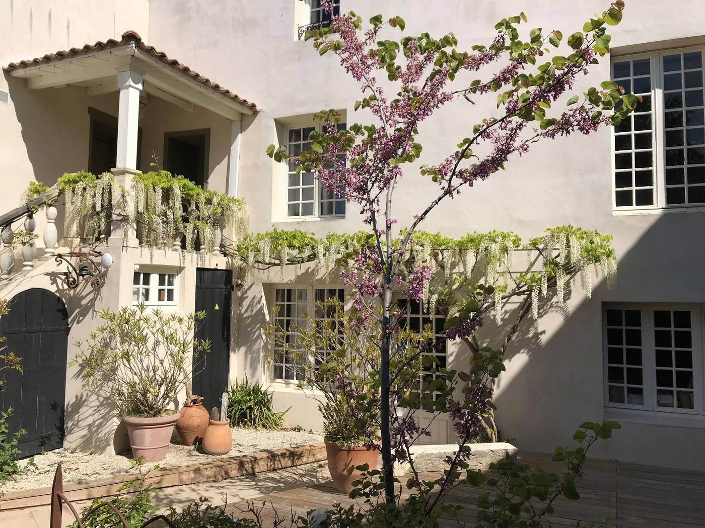La Maison Douce-France-Saint Martin de Ré-General view-4