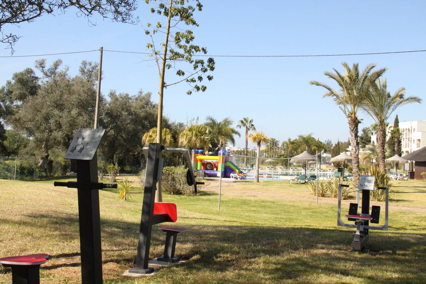 The-Navigator---Palm-Oasis-Alvor-Sports-and-Entertainment-48