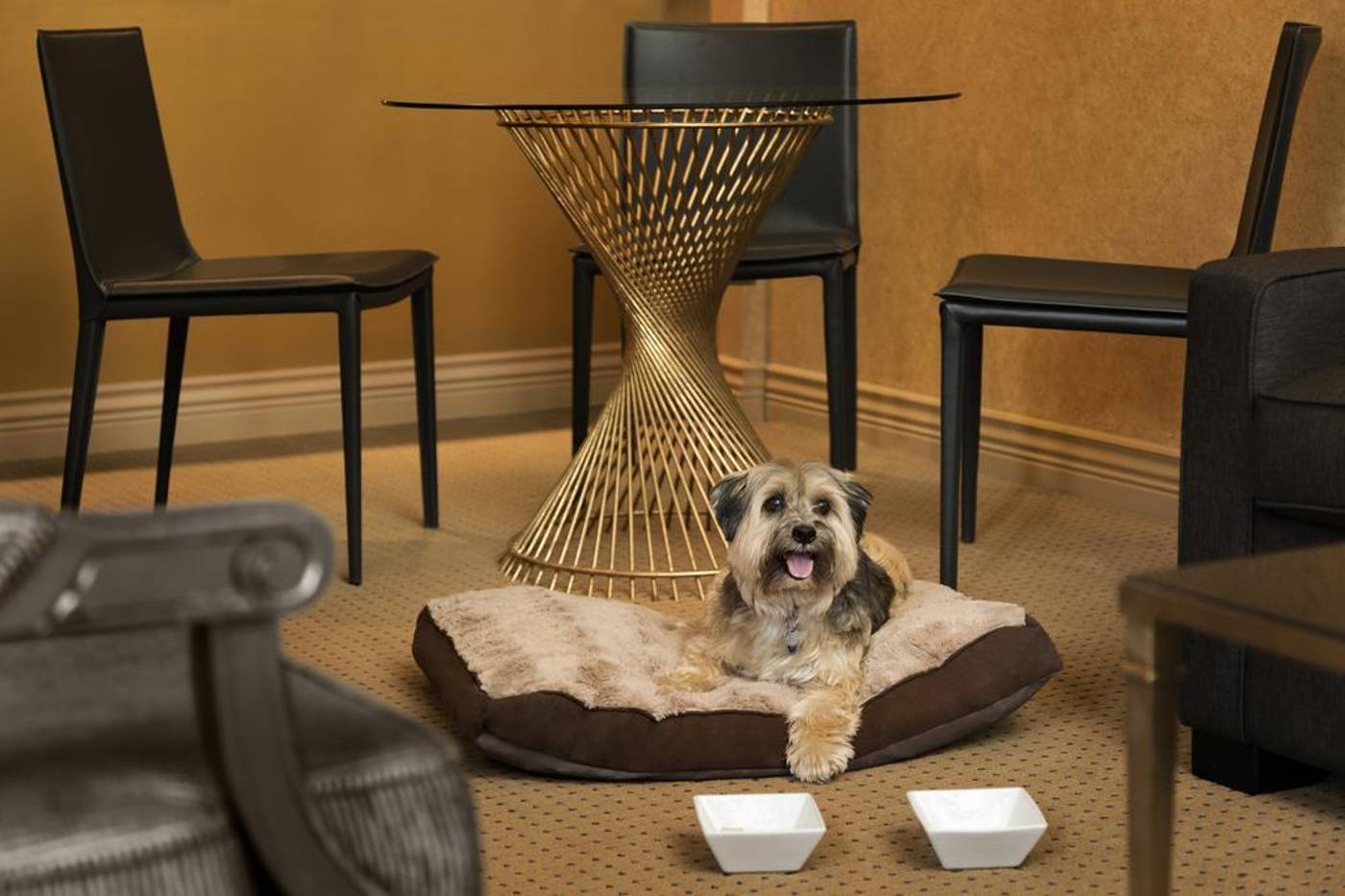 Executive-Le-Soleil-Room-5