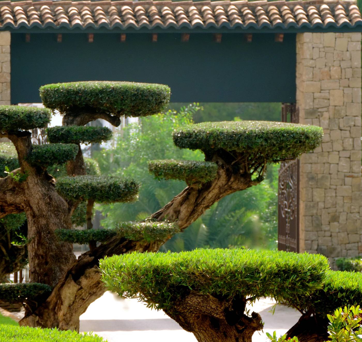 Swiss-Hotel-Moraira-General-view-17