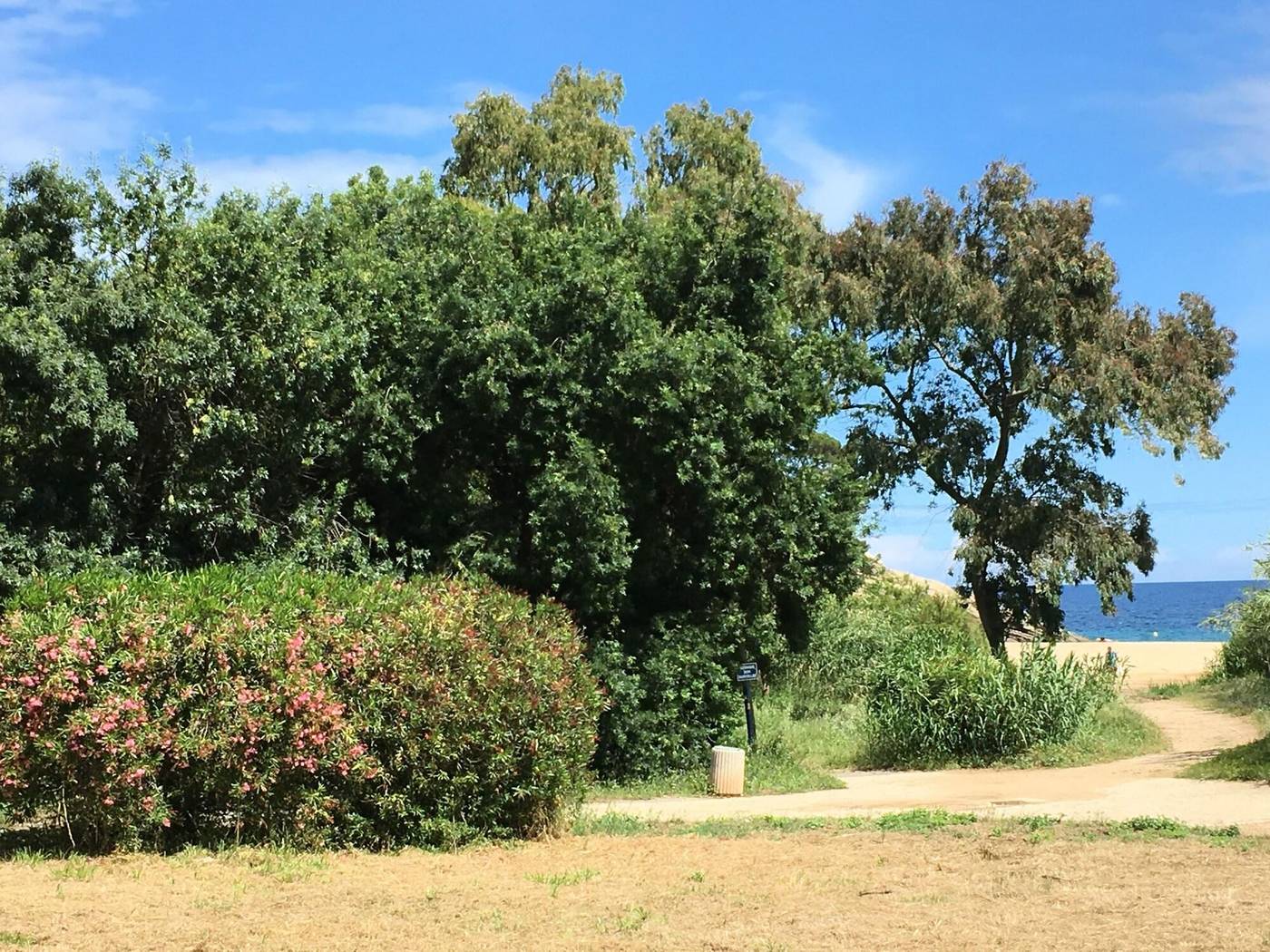 Le-Clos-Des-Sept-Palmiers-General-view-70