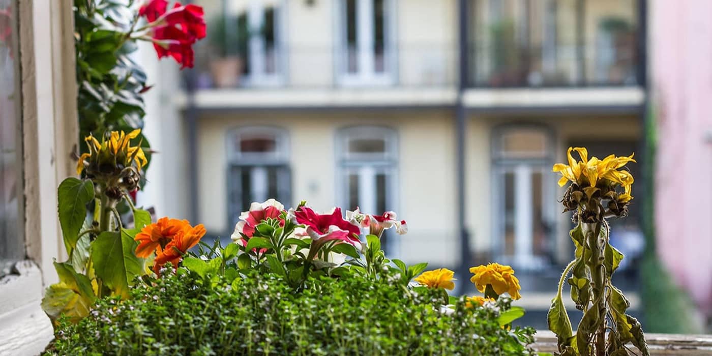 Casinha-Das-Flores-Lobby-68