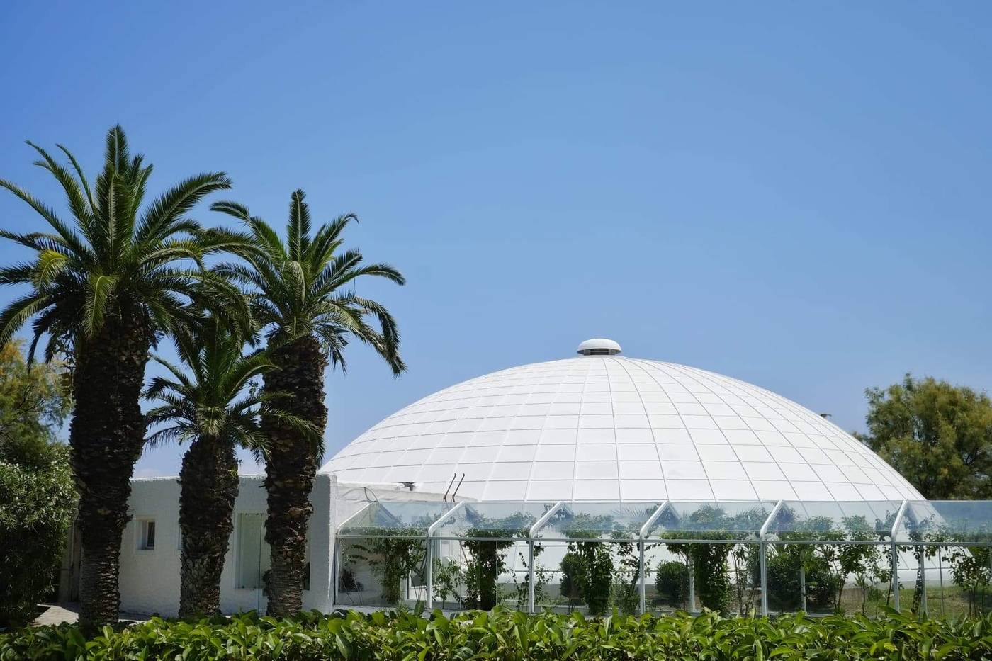 Pallini-Beach-Bar-20