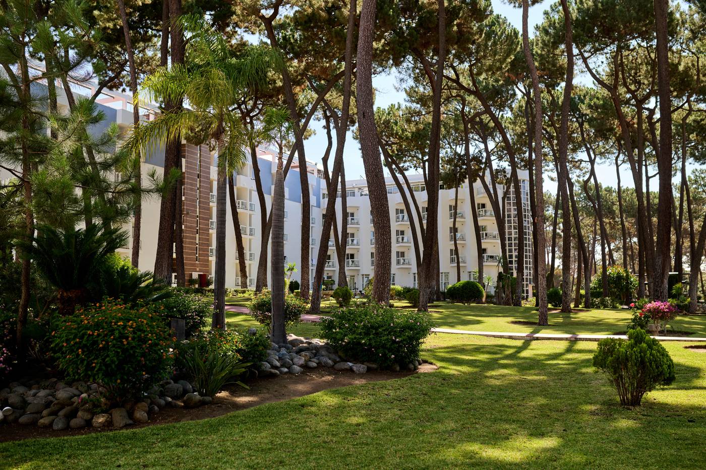 Alua-Sun-Marbella-Park-Terrace-18