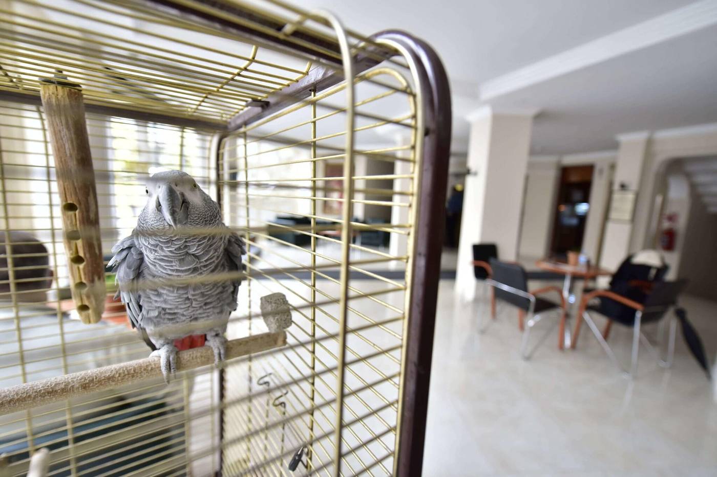 Hotel-Topkapi-Lobby-36