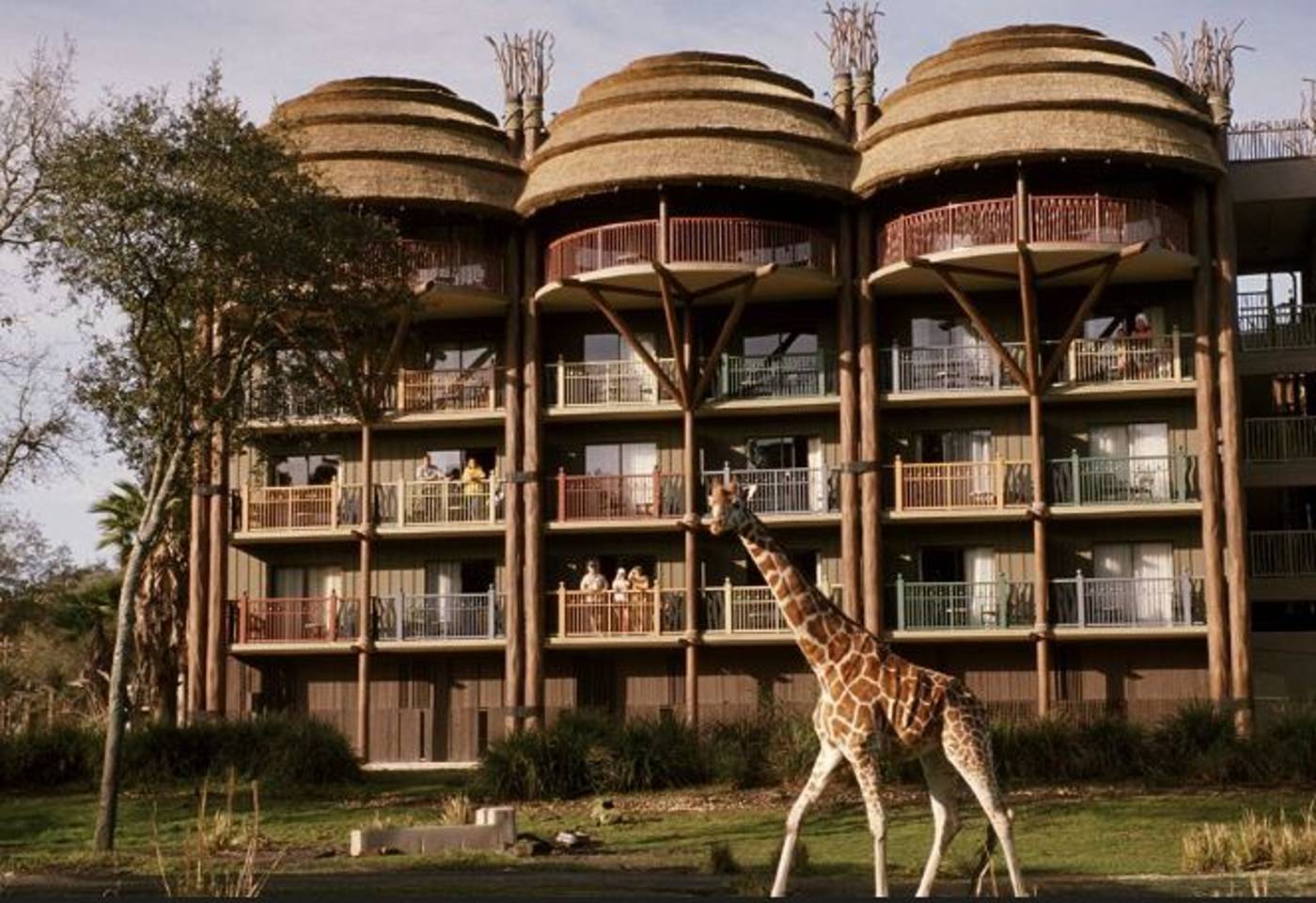 Disneys Animal Kingdom Lodge in Florida, USA