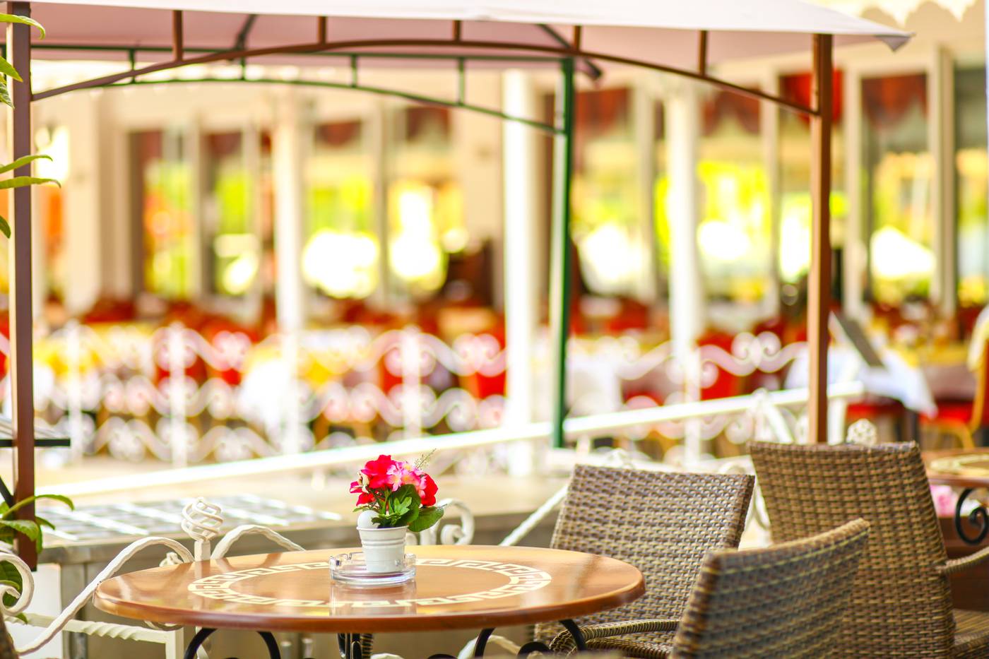 Pine-House-Hotel-Terrace-19