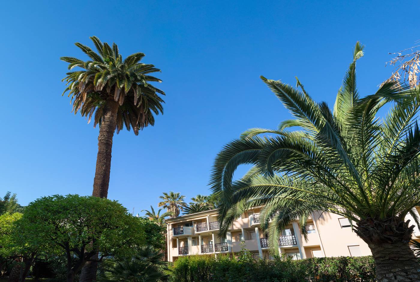 Les Citronniers-France-MENTON-General view-9