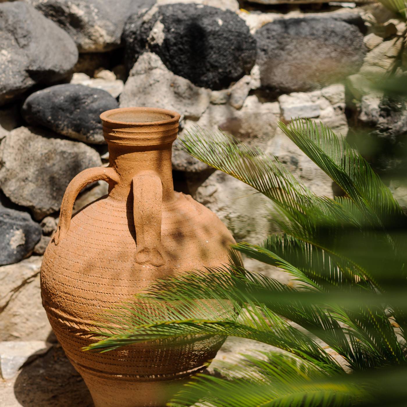 Afroditi-Venus-Sports-and-Entertainment-108