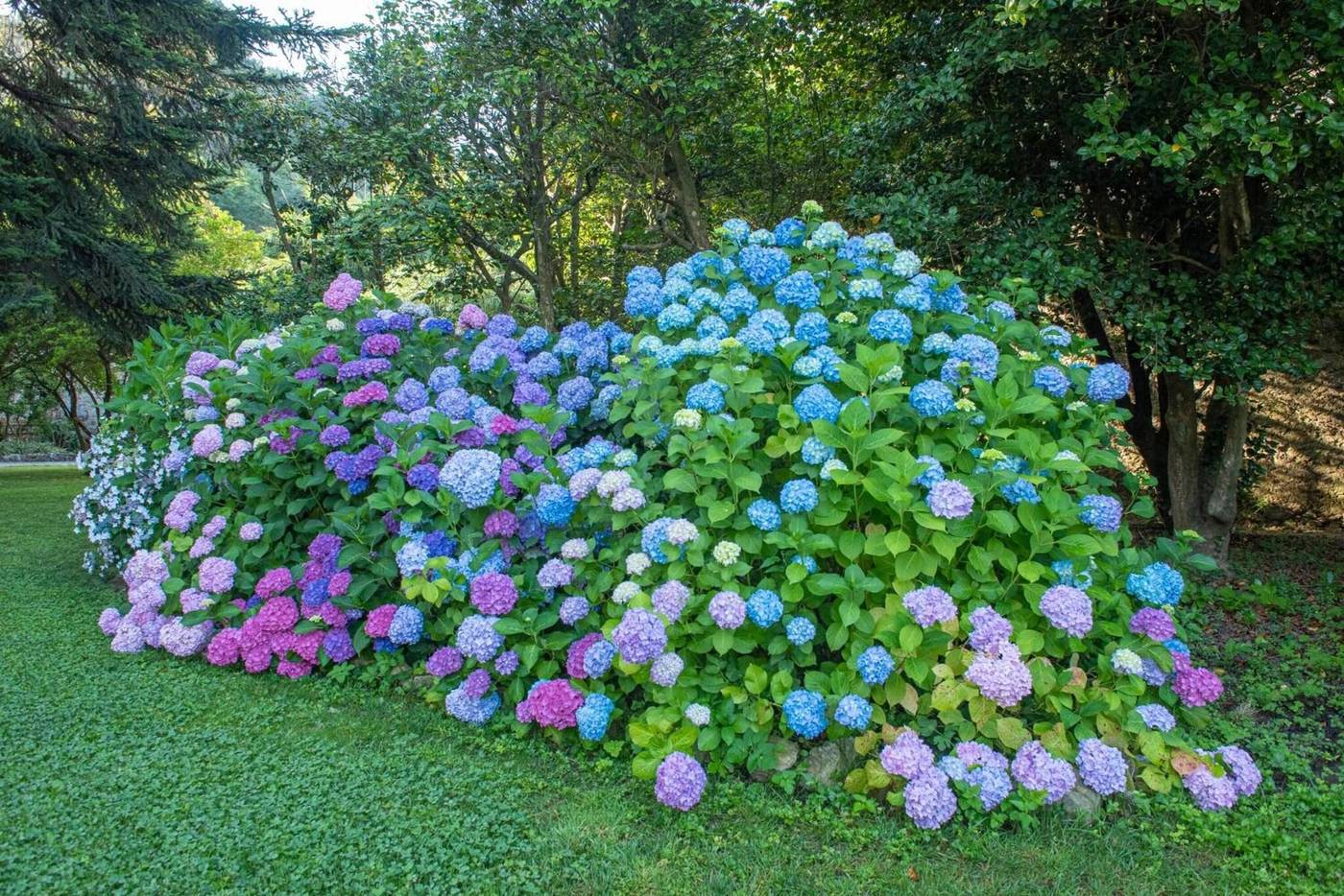 Relais-Corte-Rodeschi-General-view-51