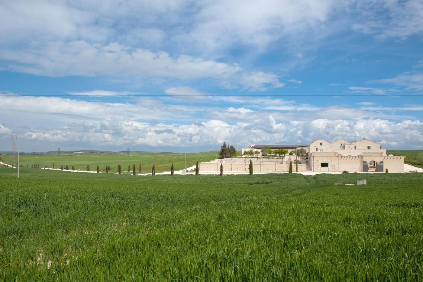 Tenuta Danesi-Italy-MATERA-General view-8