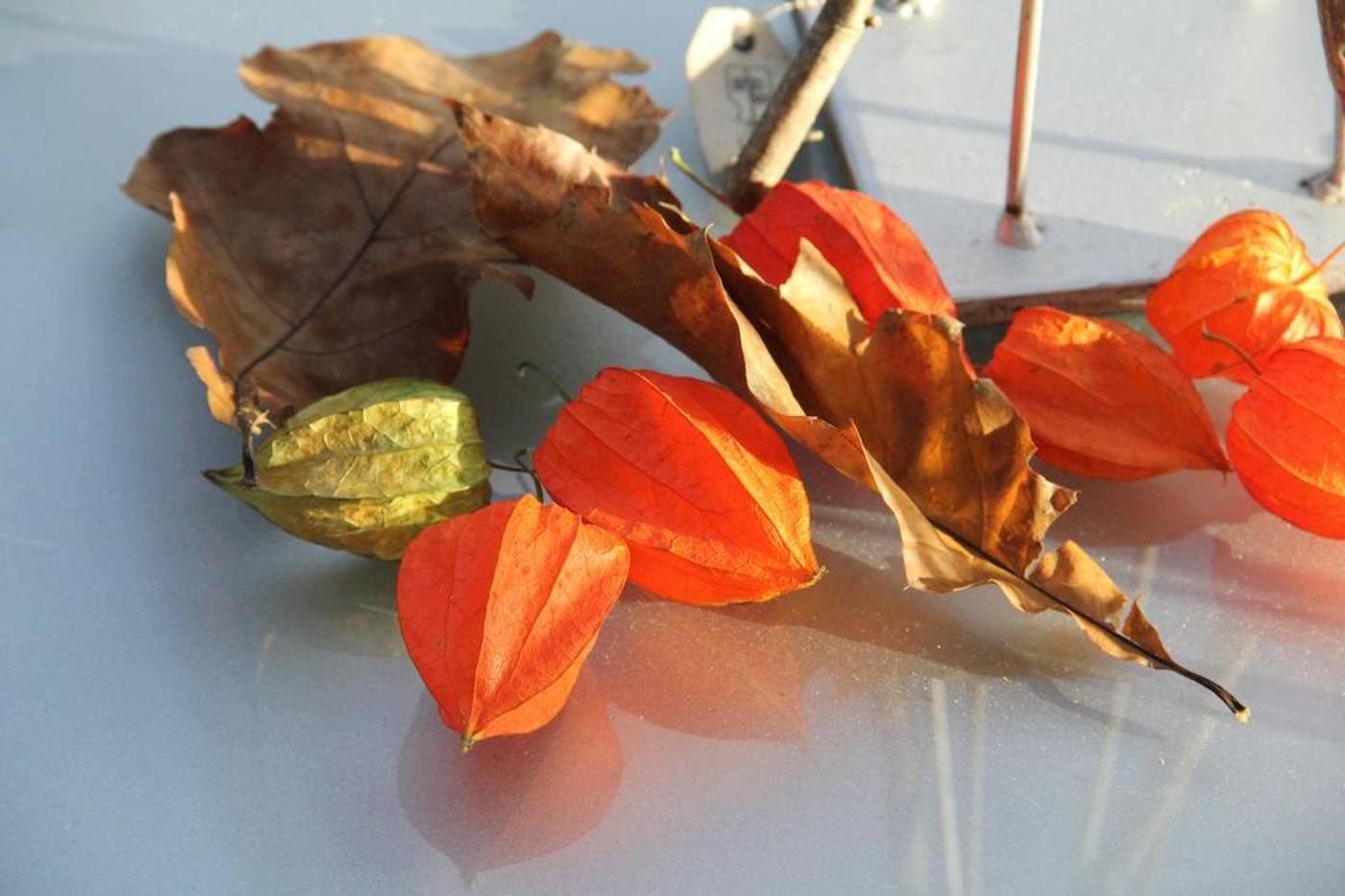 Clarion Hotel Bergen Airport Terminal-Norway-BERGEN-General view-2