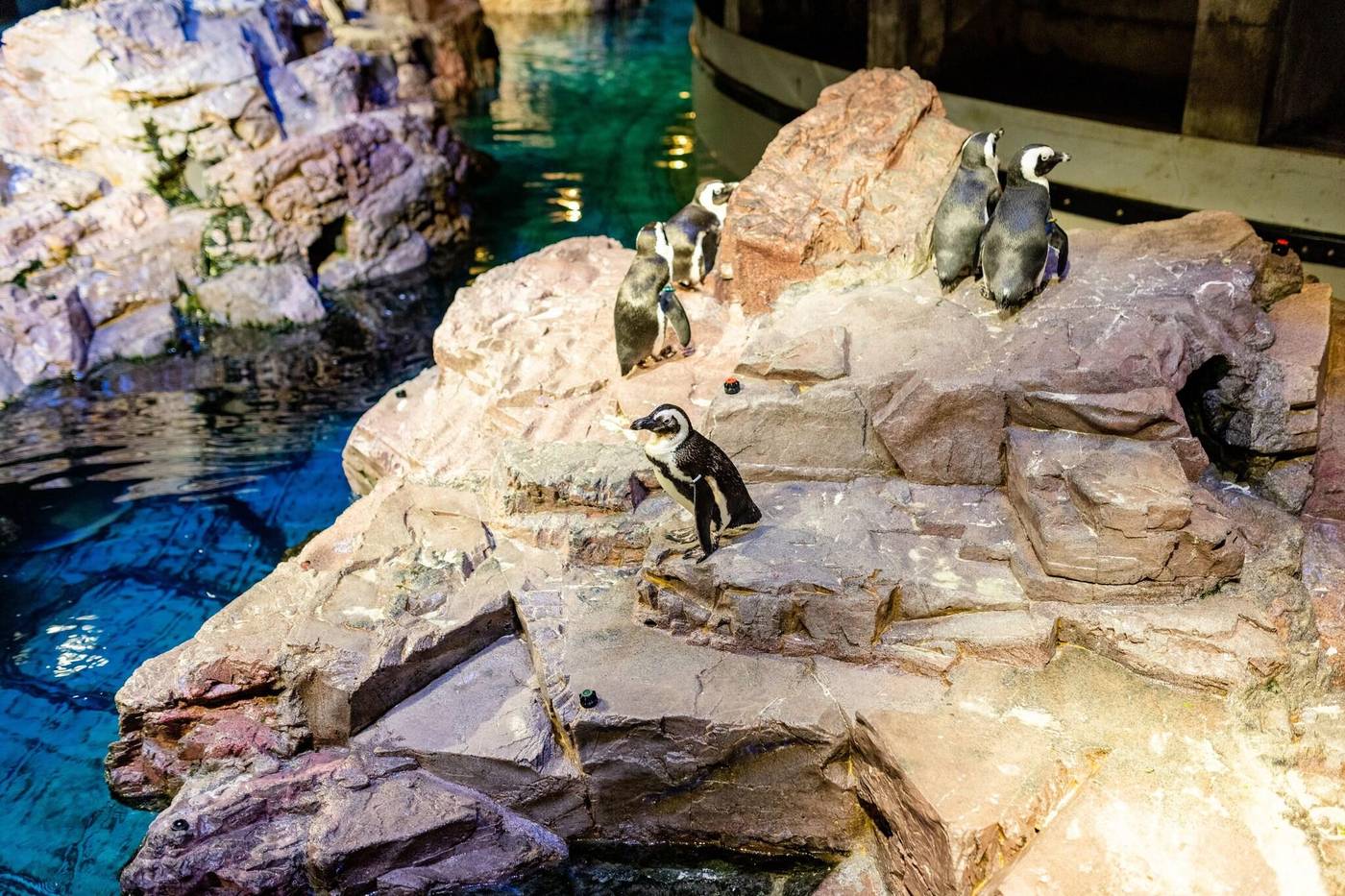 Westin-Boston-Waterfront-General-view-57