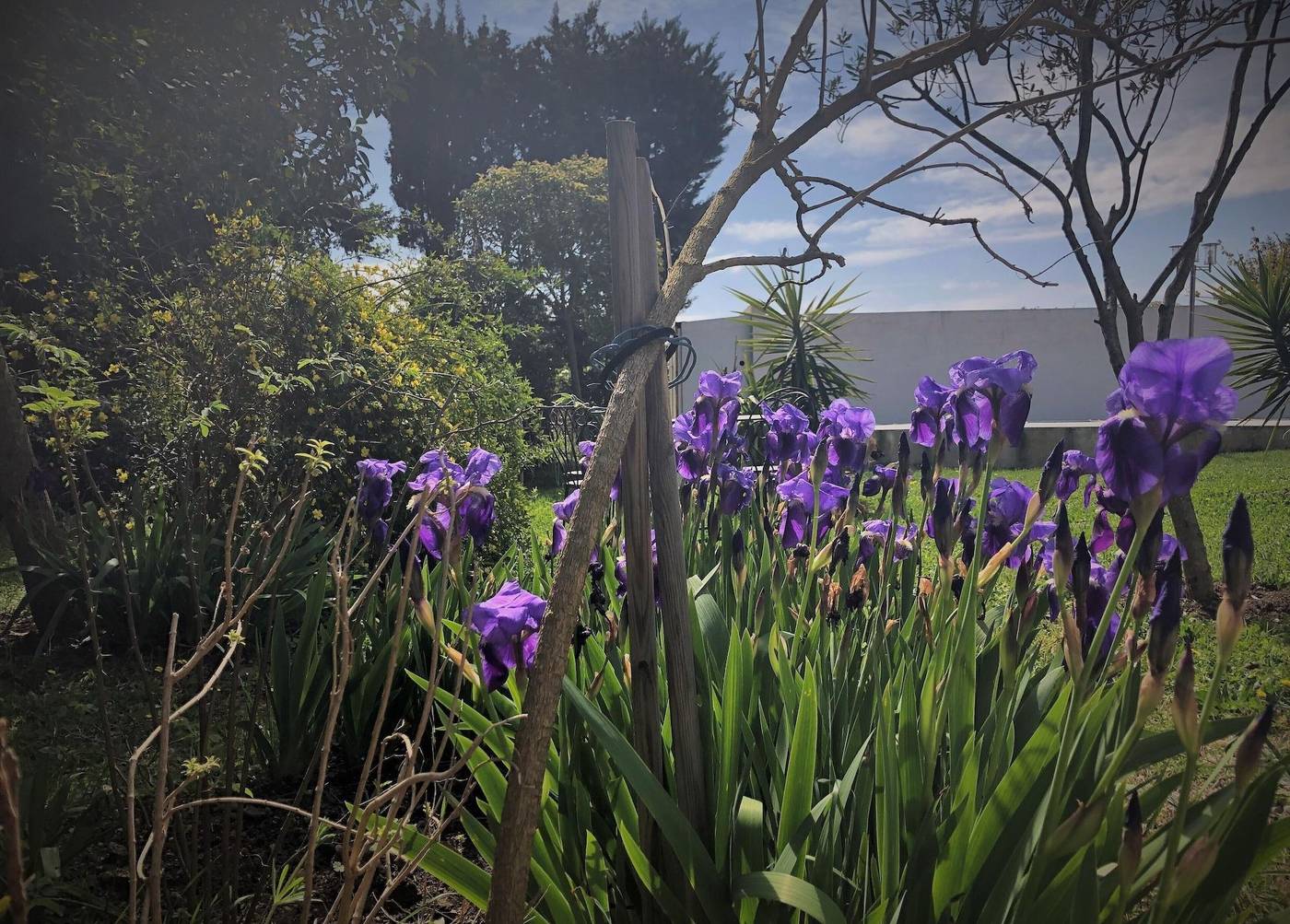 Aux Belles Vacances B B Only Adults-France-Caux-et-Sauzens-General view-7