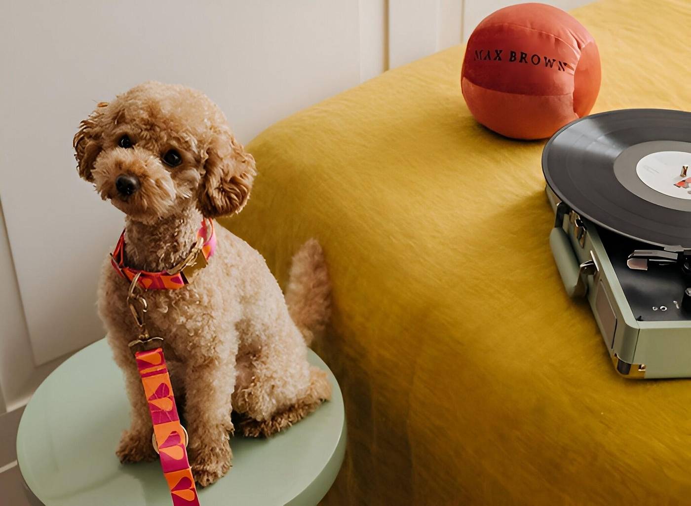 Max-Brown-Hotel-Canal-District--part-of-Sircle-Collection-Room-32