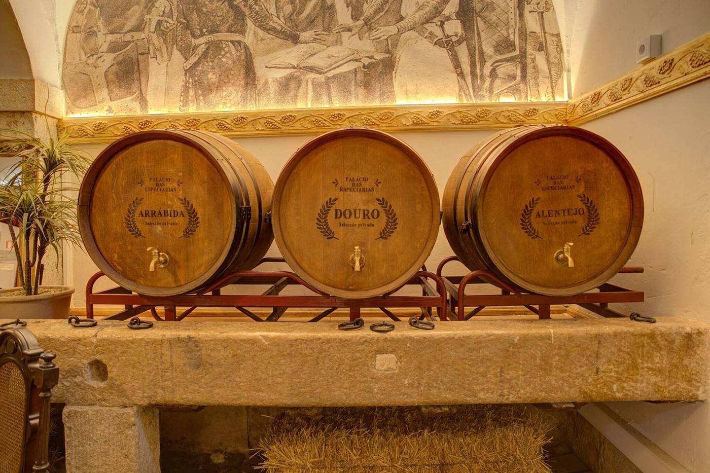 Pal-cio-das-Especiarias-Sports-and-Entertainment-25