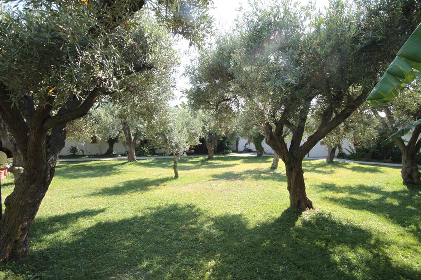 Tonicello Resort & SPA-Italy-CAPO VATICANO NEAR TROPEA-General view-3