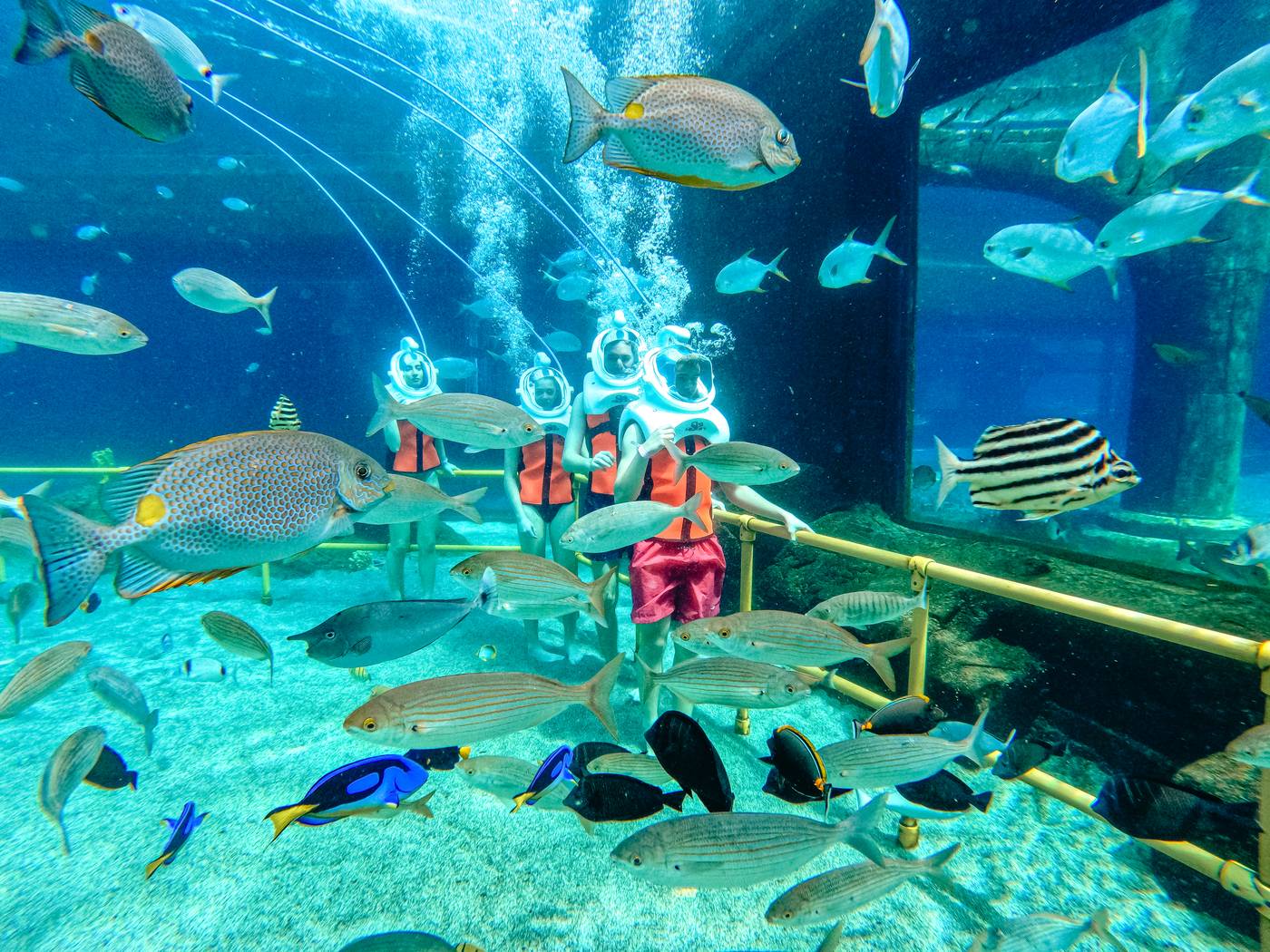 The Land of Legends Nickelodeon Hotels & Resorts Antalya