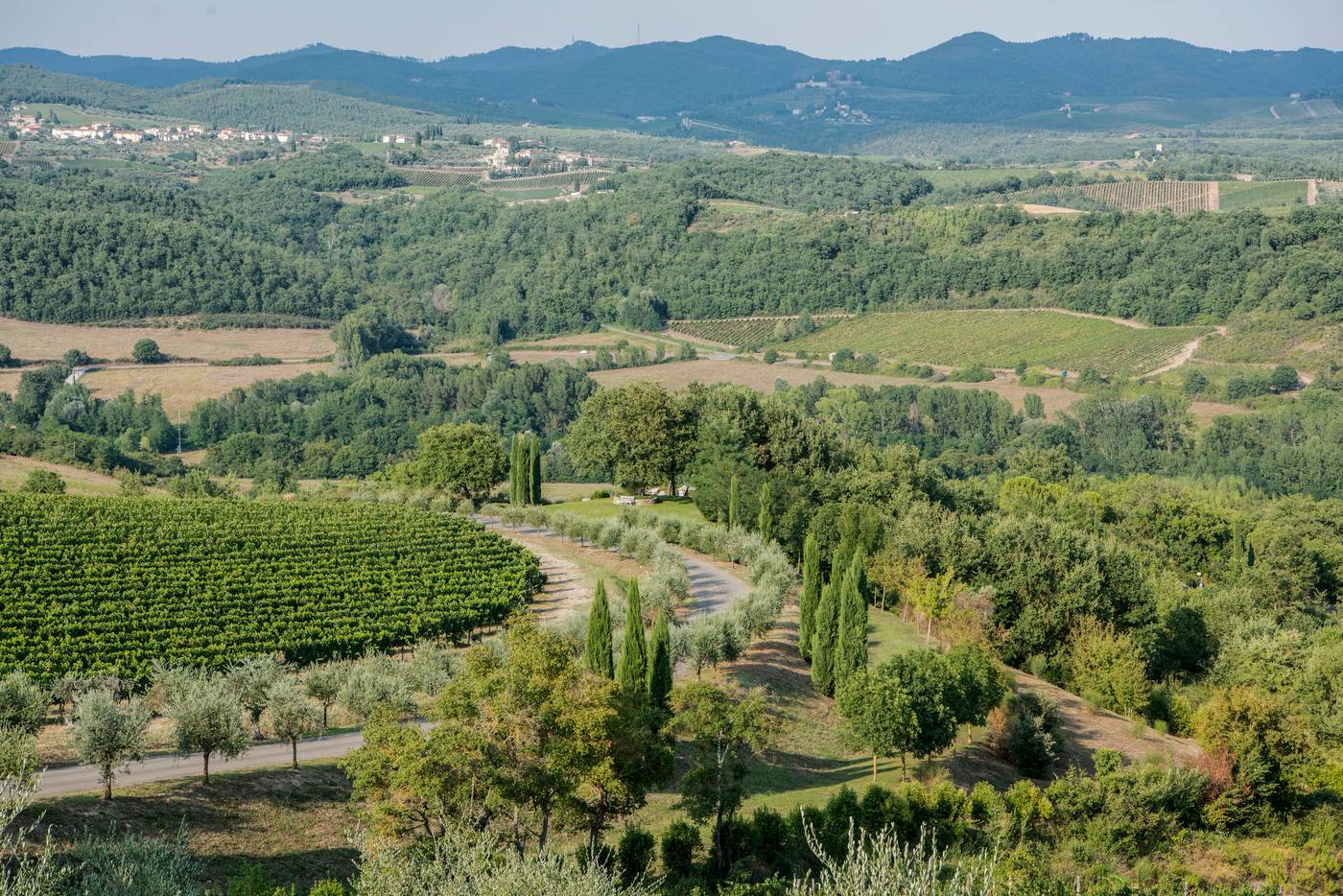 Hotel Le Fontanelle-Italy-PIANELLA, CASTELNUOVO BERARDENGA - SIENA-General view-8